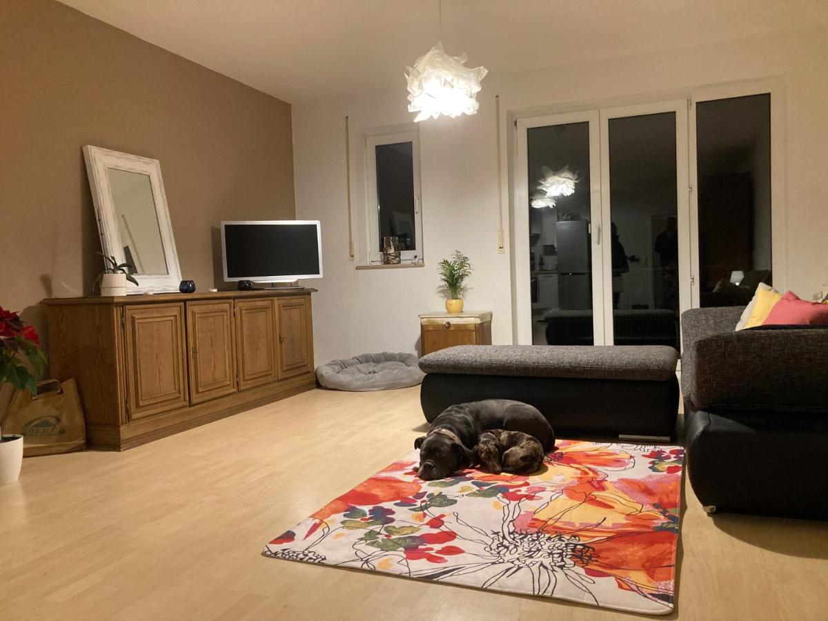 3 Zi Wohnung Haustiere Willkommen Im Markgraeflerland Dreilaendereck Schliengen Exterior photo